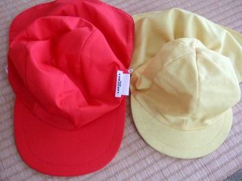 赤白帽黄色比較_400.jpg